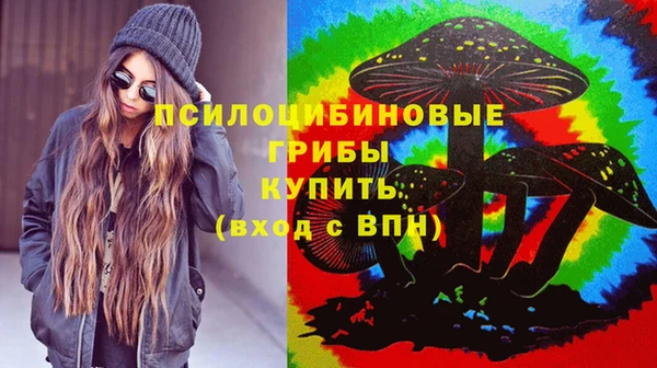 соль ск Мегион
