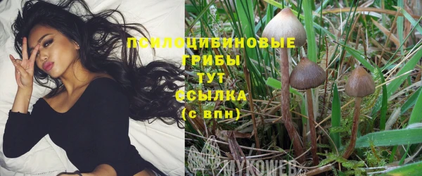 mdma Медвежьегорск