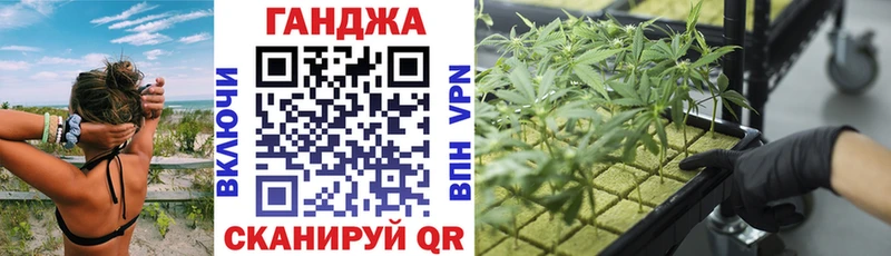 Бошки Шишки VHQ  Шебекино 